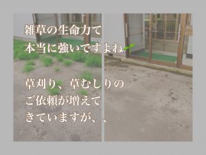 ご依頼急増中 草刈り 草むしり ご依頼急増中 草刈り 草むしり