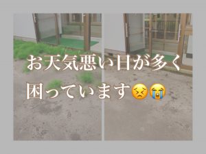 ご依頼急増中 草刈り 草むしり